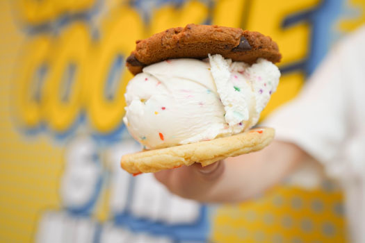 Handmade Ice Cream Sandwich with cookies made from scratch and Ice Cream from local creamery
