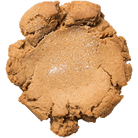 Snickerdoodle